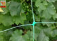 Polyethylene Agricultural Climbing Plant Support Mesh Green Color Lightweight