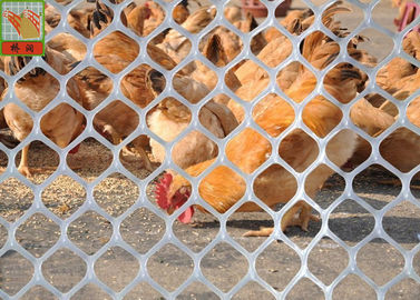 White HDPE Plastic Poultry Netting , Extruded Plastic Mesh With Hexagonal Hole