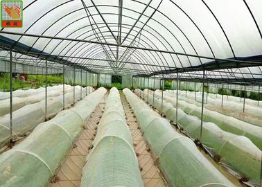 Vegetable Greenhouse Insect Net Agricultural Netting HDPE Materials White Color